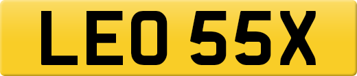 LEO55X